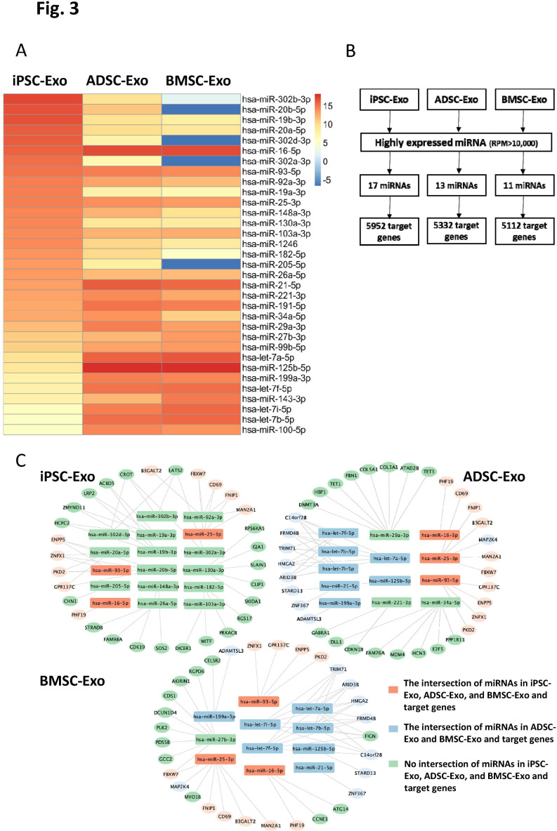 Comparisons of miRNA profiles of exosomes derived from human iPSCs, ADSCs, and BMSCs and effects on chondrocyte function.