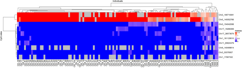 DNA methylation of food sensitization in a French-Canadian population.