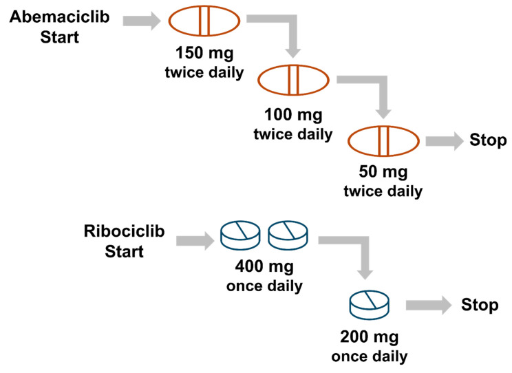 Multidisciplinary Practical Guidance for Implementing Adjuvant CDK4/6 Inhibitors for Patients with HR-Positive, HER2-Negative Early Breast Cancer in Canada.