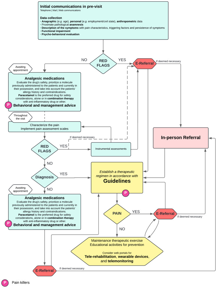 Early Musculoskeletal Pain Management in the General Practitioner's Office & E-Referral: A Multidisciplinary Expert Opinion.