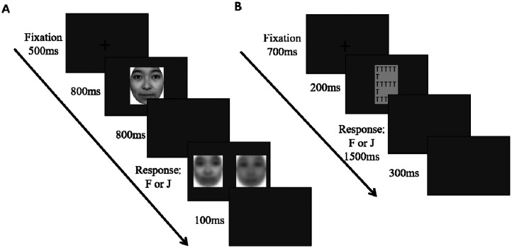 Gender differences in face pareidolia: The effect of cognitive style and judgment criteria.