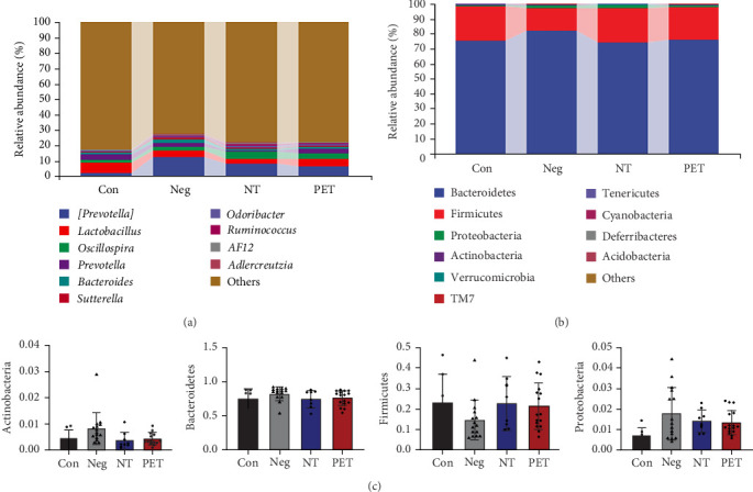 Gut Microbiota Dysbiosis in Preeclampsia: Mechanisms, Biomarkers, and Probiotic-Based Interventions.