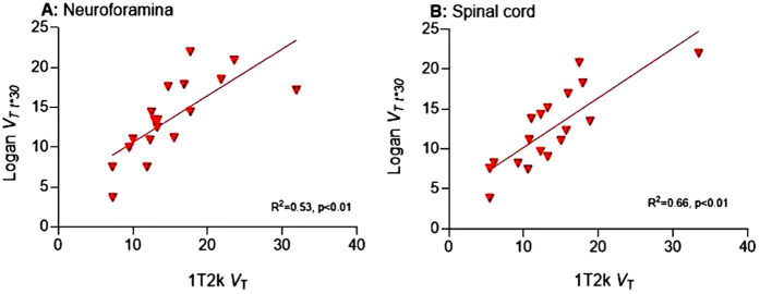 Quantification of neuroinflammation in spinal cord and neuroforamina of patients with painful cervical radiculopathy using [<sup>11</sup>C]DPA713 PET/CT.