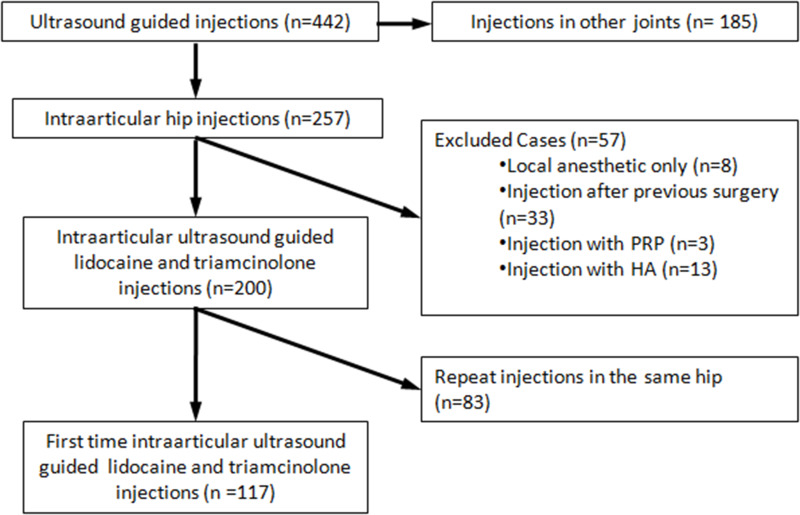Effectiveness of Ultrasound Guided Intraarticular Injections with Lidocaine and Triamcinolone: A Retrospective Study of Primary Hip Injections.