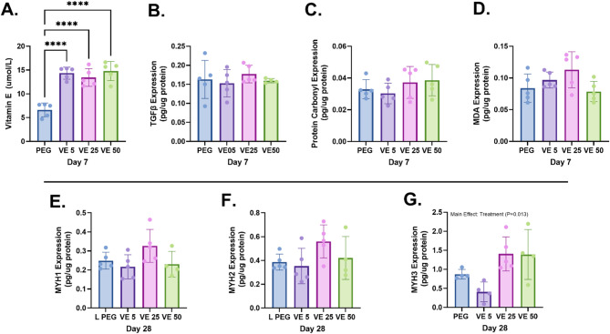 In-vivo evaluation of vitamin E loaded muscle void fillers for the provisional treatment of volumetric muscle loss.