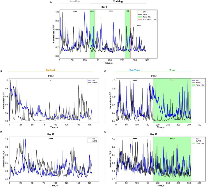 Disrupted calcium dynamics and electrophysiological activity in the stratum pyramidale and hippocampal alveus during fear conditioning in the 5xFAD model of Alzheimer's disease.