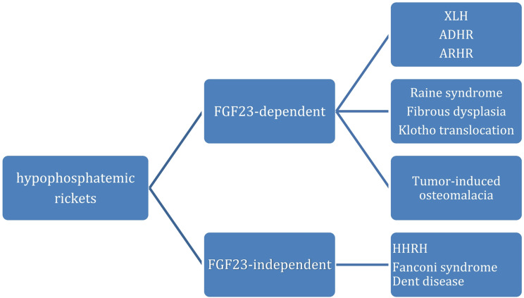 Management of rickets: the new horizons for the pediatrician.