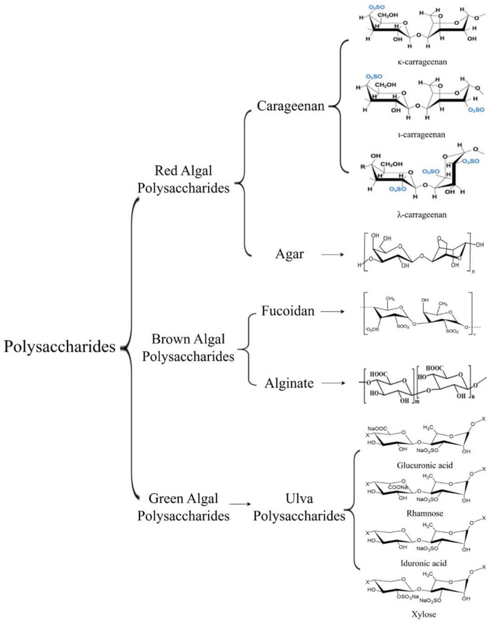 Unraveling of Seaweed Bioactive Substances and Their Nutritional Regulation Functions for Poultry.