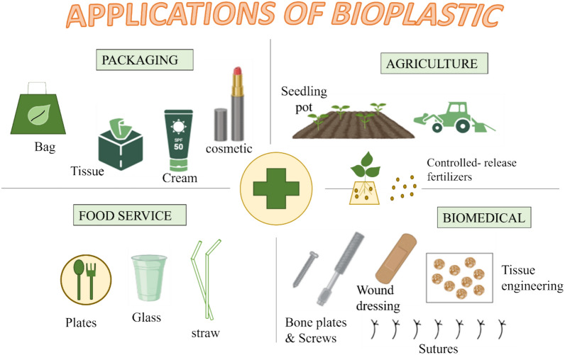 The quintessence of algal biomass in bioplastic production: insightful advancement and sustainable use.