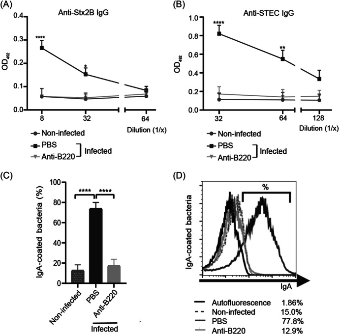Neutralizing antibodies in the intestinal mucosa are essential to control gastrointestinal infection by Shiga toxin-producing <i>Escherichia coli</i>.