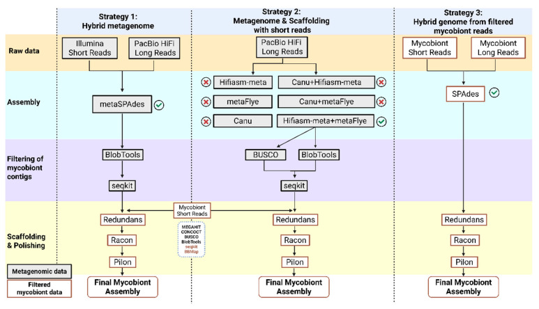 Evaluating the Assembly Strategy of a Fungal Genome from Metagenomic Data: <i>Solorina crocea</i> (Peltigerales, Ascomycota) as a Case Study.