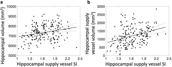 Hippocampal vascular supply and its mediating role in systemic physiological influences on hippocampal volume.