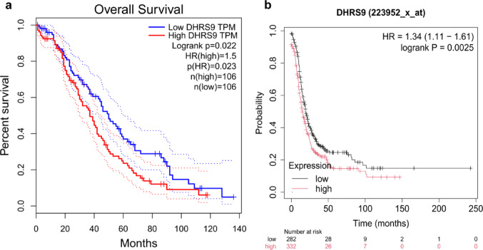 DHRS9 promotes malignant progression of ovarian cancer through SQSTM1.
