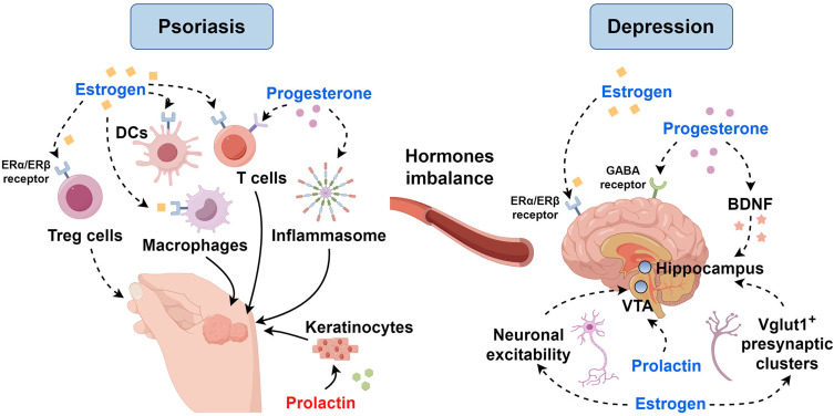 The Skin-Brain Axis in Psoriasis and Depression: Roles of Inflammation, Hormones, Neuroendocrine Pathways, Neuropeptides, and the Microbiome.