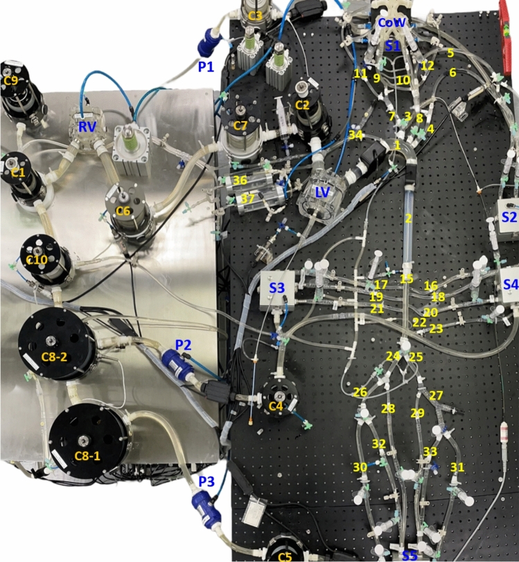 Development of an Anatomy-Mimicking, Wave Transport-Preserving Mock Circulation Loop for Evaluating Pulsatile Hemodynamics as Supported by Cardiovascular Assist Devices.