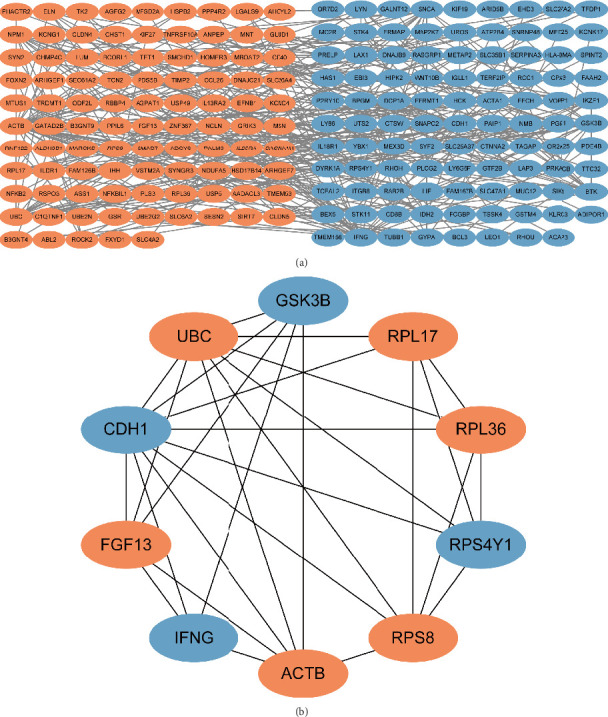Uncovering Overlapping Gene Networks and Potential Therapeutic Targets in Osteoporosis and COVID-19 Through Bioinformatics Analysis.