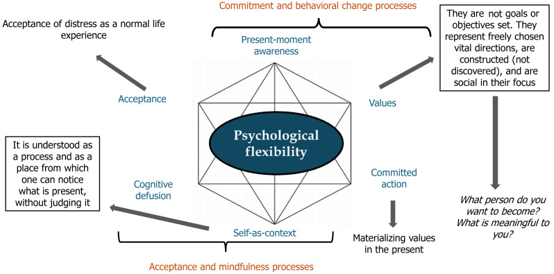 Acceptance and commitment therapy applied to early psychosis: Therapeutic foundations and a narrative systematic review.