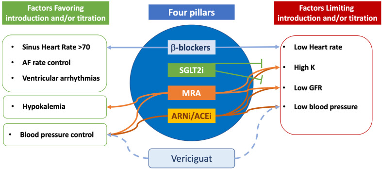 The Role of Vericiguat in Heart Failure Therapy: From Clinical Trials to Clinical Practice.
