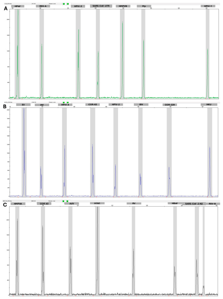 Detection of Microorganisms Causing Human Respiratory Infection Using One-Tube Multiplex PCR.