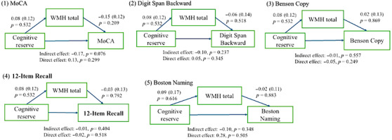 The role of cognitive reserve in white matter hyperintensities: from cognitive aging to Alzheimer's spectrum.