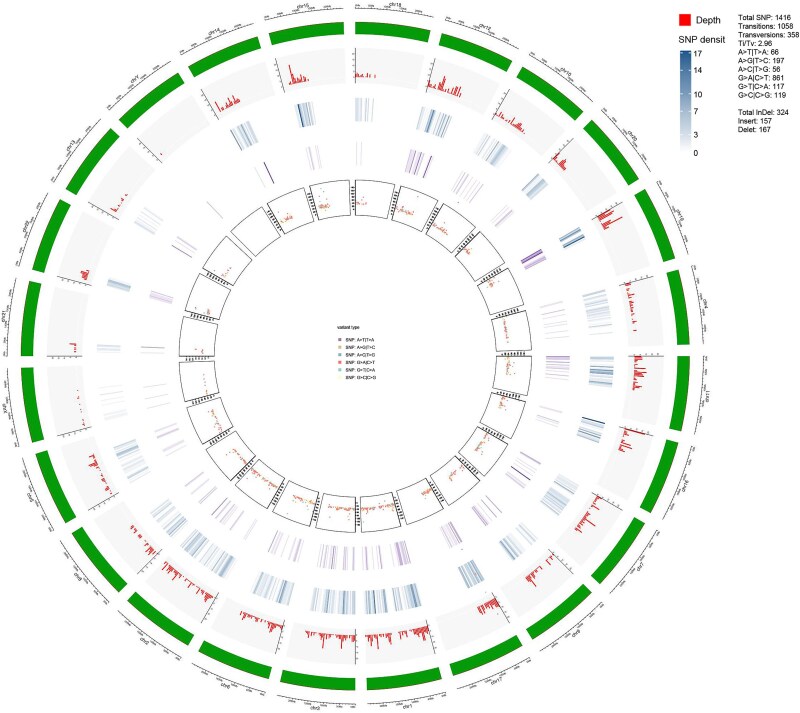 Whole exome sequencing analysis of susceptibility loci in transgender individuals.