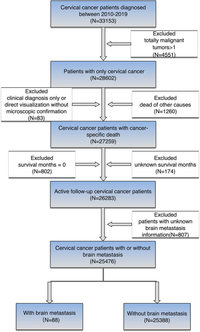 Risk and prognosis for brain metastasis in primary metastatic cervical cancer patients: A population-based study.