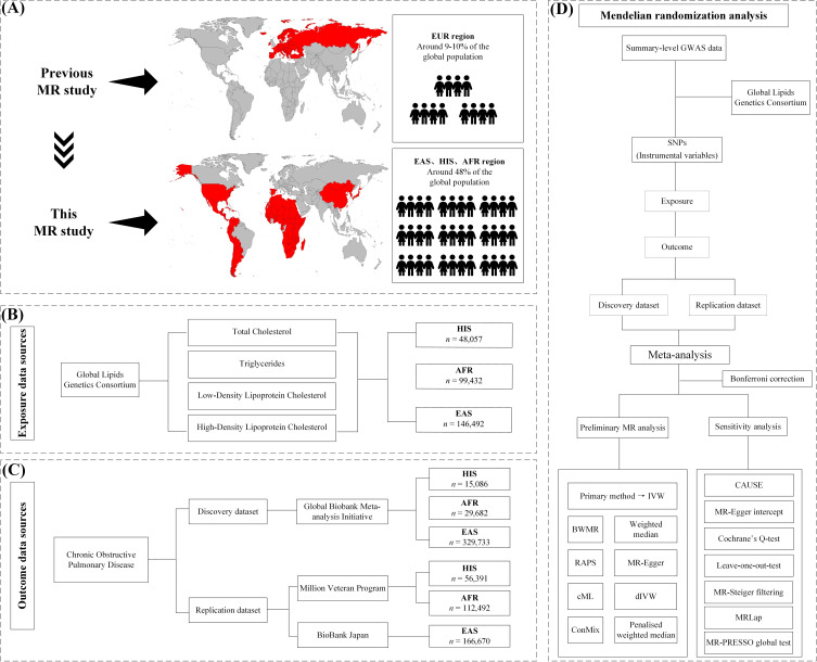Multi-Ancestry Mendelian Randomization Reveals Lipid-Associated Genetic Risk Factors for COPD.