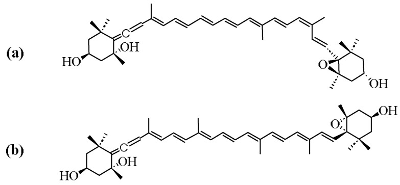 Neoxanthin: A Promising Medicinal and Nutritional Carotenoid.