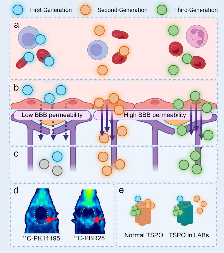 Refining seizure foci localization: the potential of TSPO-PET.