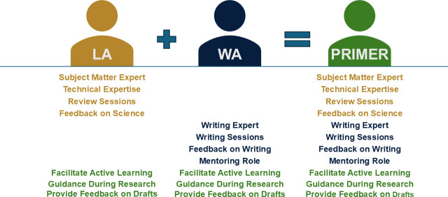 Development of the PeeR Investigators Mentoring Experiences in Research (PRIMER) program: a peer mentoring initiative to increase mentoring in CUREs.
