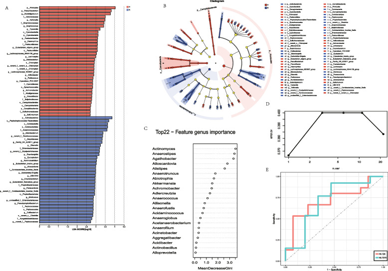 Metagenomics and metabolomics to evaluate the potential role of gut microbiota and blood metabolites in patients with cerebral infarction.