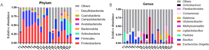 Isolation, culture, and in vitro functional validation of intratumor bacteria from lung cancer patients.