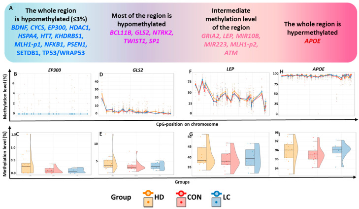 DNA Methylation Status of Regulatory Regions of Apoptosis-Associated Genes in Dystropy «Huntington's Disease-Non-Small Cell Lung Cancer».