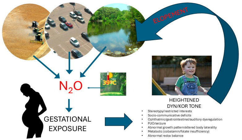 Comment on Frye et al. Air Pollution and Maximum Temperature Are Associated with Neurodevelopmental Regressive Events in Autism Spectrum Disorder. <i>J. Pers. Med.</i> 2022, <i>12</i>, 1809.