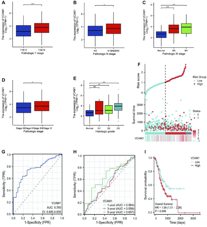 <i>VCAM-1</i> predicts poor prognosis and modulates immune infiltration in gastric cancer: a TCGA-based bioinformatics study.
