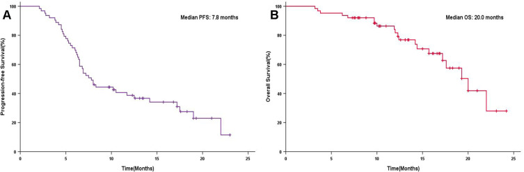 Efficacy and Safety of Different Doses of Bevacizumab Combined with Atezolizumab in Unresectable Hepatocellular Carcinoma.