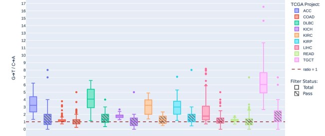 Consistent asymmetry in DNA damage artefacts across target regions in exome sequencing data.