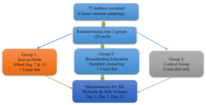Effect of a ginger-spiced millet-soya drink and breastfeeding education on prolactin levels and breast milk volumes in postpartum mothers in northern Ghana: a randomized controlled trial.