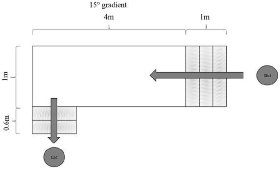 Patient Preferences and Functional Outcomes of Forearm Crutches vs Hands-Free Single Crutches After Foot and Ankle Surgery: A Randomized Crossover Trial.