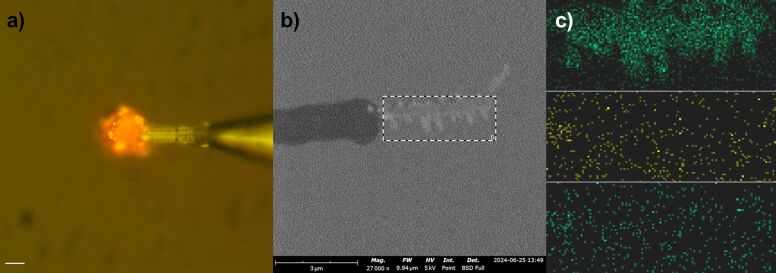 Parylene-coated platinum nanowire electrodes for biomolecular sensing applications.