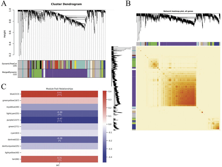 Platelet RNA-Seq Reveals Genes Associated with Carotid Intima-Media Thickness: A Cross-Sectional Study.