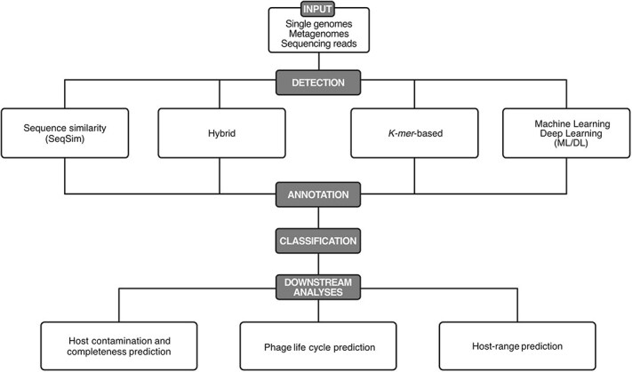 Phage quest: a beginner's guide to explore viral diversity in the prokaryotic world.