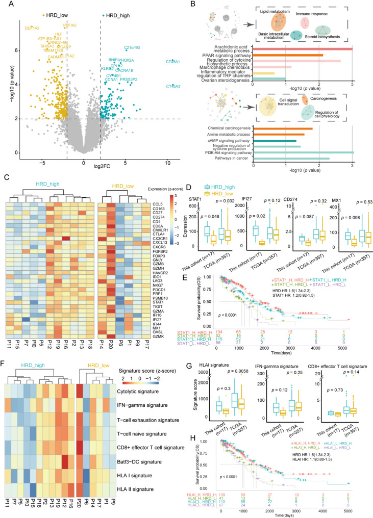 Genomic and transcriptomic data reveal molecular differences between homologous recombination deficiency subgroups in Chinese ovarian cancer patients.