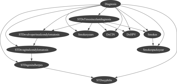 A Machine Learning and Bayesian Belief Network Approach to Predicting Cervical Cancer Risk: Implications for Risk Management.