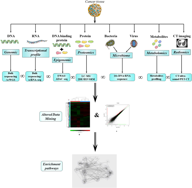 Integration of multi-omics approaches in exploring intra-tumoral heterogeneity.