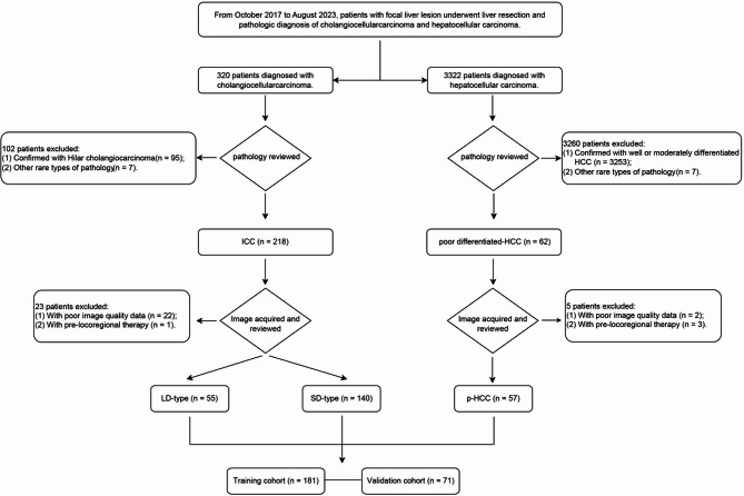 Contrast-enhanced ultrasound for diagnosing subtypes of intrahepatic cholangiocarcinoma: a comparative study with poorly differentiated hepatocellular carcinoma.