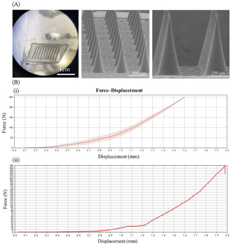 Enhanced Transdermal Delivery of Lidocaine Hydrochloride via Dissolvable Microneedles (LH-DMNs) for Rapid Local Anesthesia.