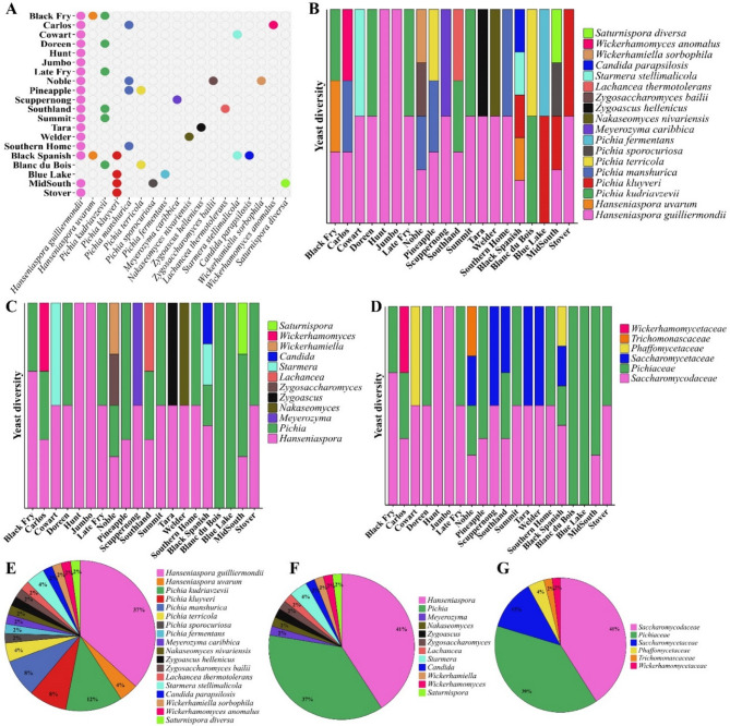 Unveiling the cultivable yeast endophyte diversity in muscadine grape berries and their known functional prospects.