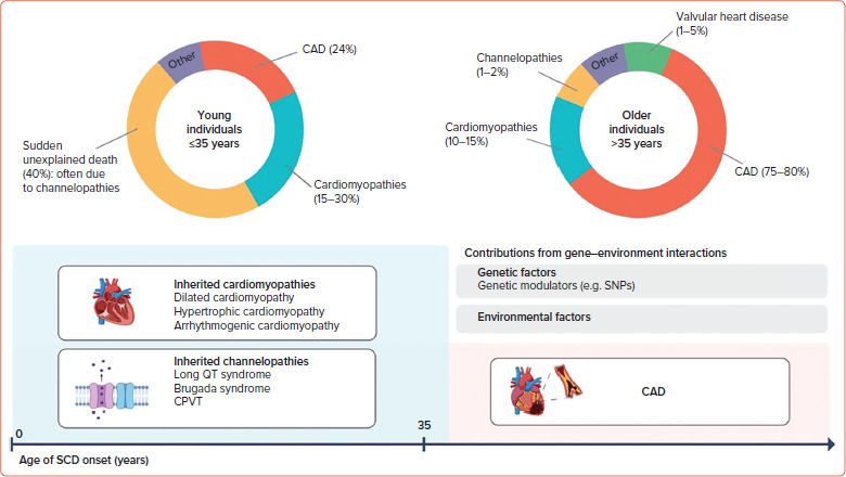 Genetics of Sudden Cardiac Arrest: Overview of Genetic Risk Factors and Aetiologies.