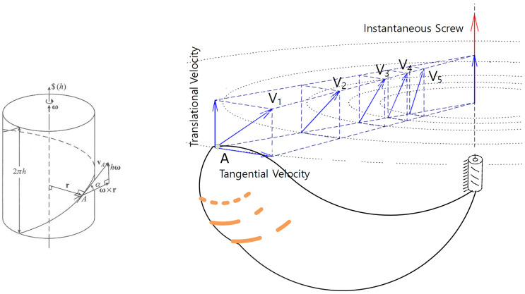 Pitch Invariance Reveals Skill-Specific Coordination in Human Movement: A Screw-Theoretic Reanalysis of Golf Swing Dynamics.